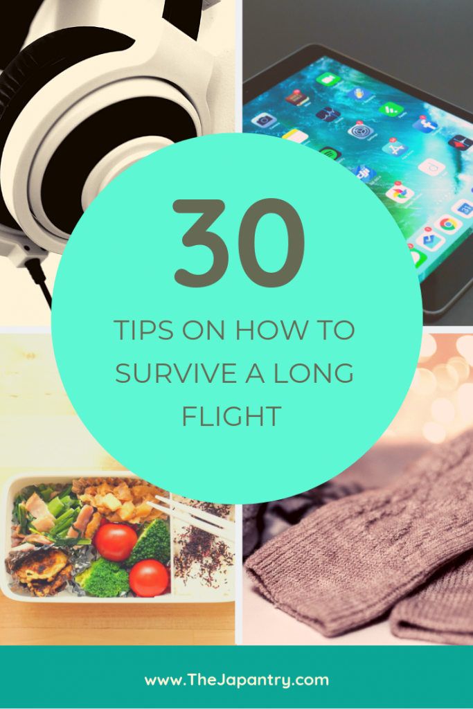 Pinterest graphic for ideas on how to survive long flights