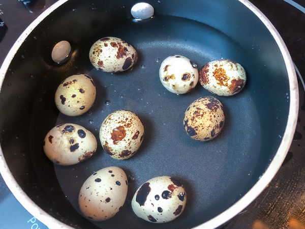 Quail Eggs in the pot to be hard boiled