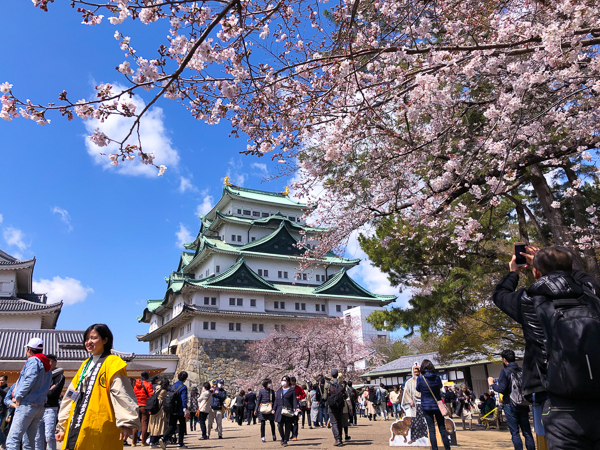 money-saving-travel-tips-for-japan