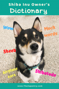 Pinterest graphic for Shiba Inu Owner's Dictionary