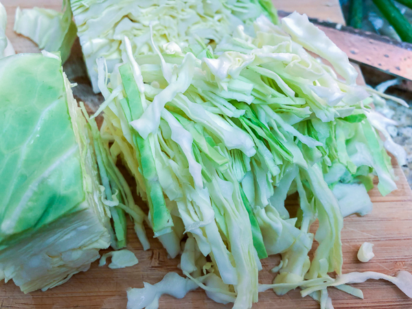 Shredded green cabbage for slaw